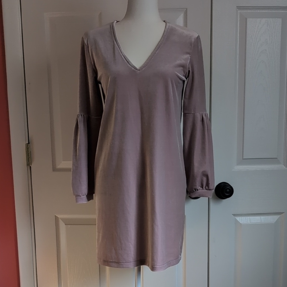 Madewell Mauve V-Neck Long Sleeve Velour Dress